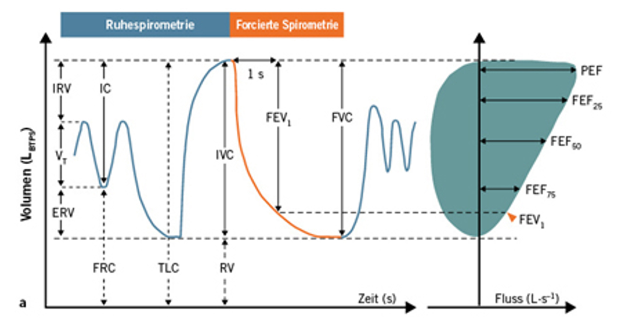 Erklärung Spirogramm